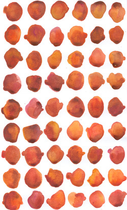 8 Orange_Red