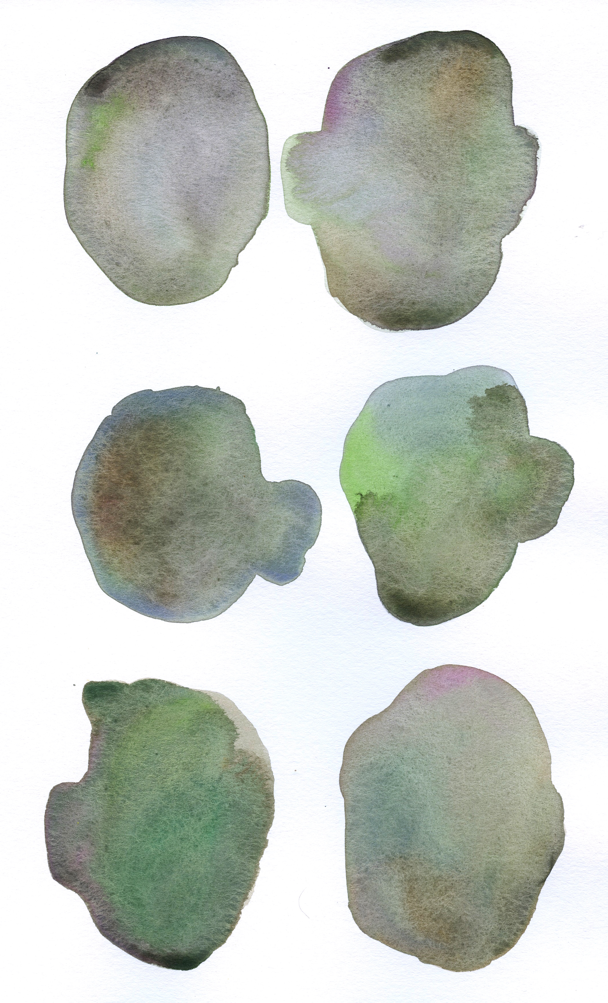 30 Purple_Green_Brown_Blue