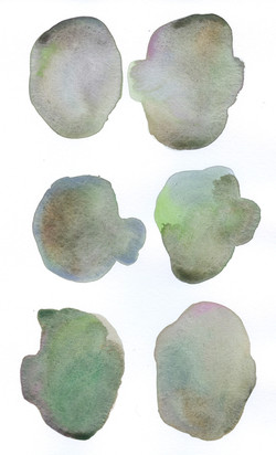 30 Purple_Green_Brown_Blue