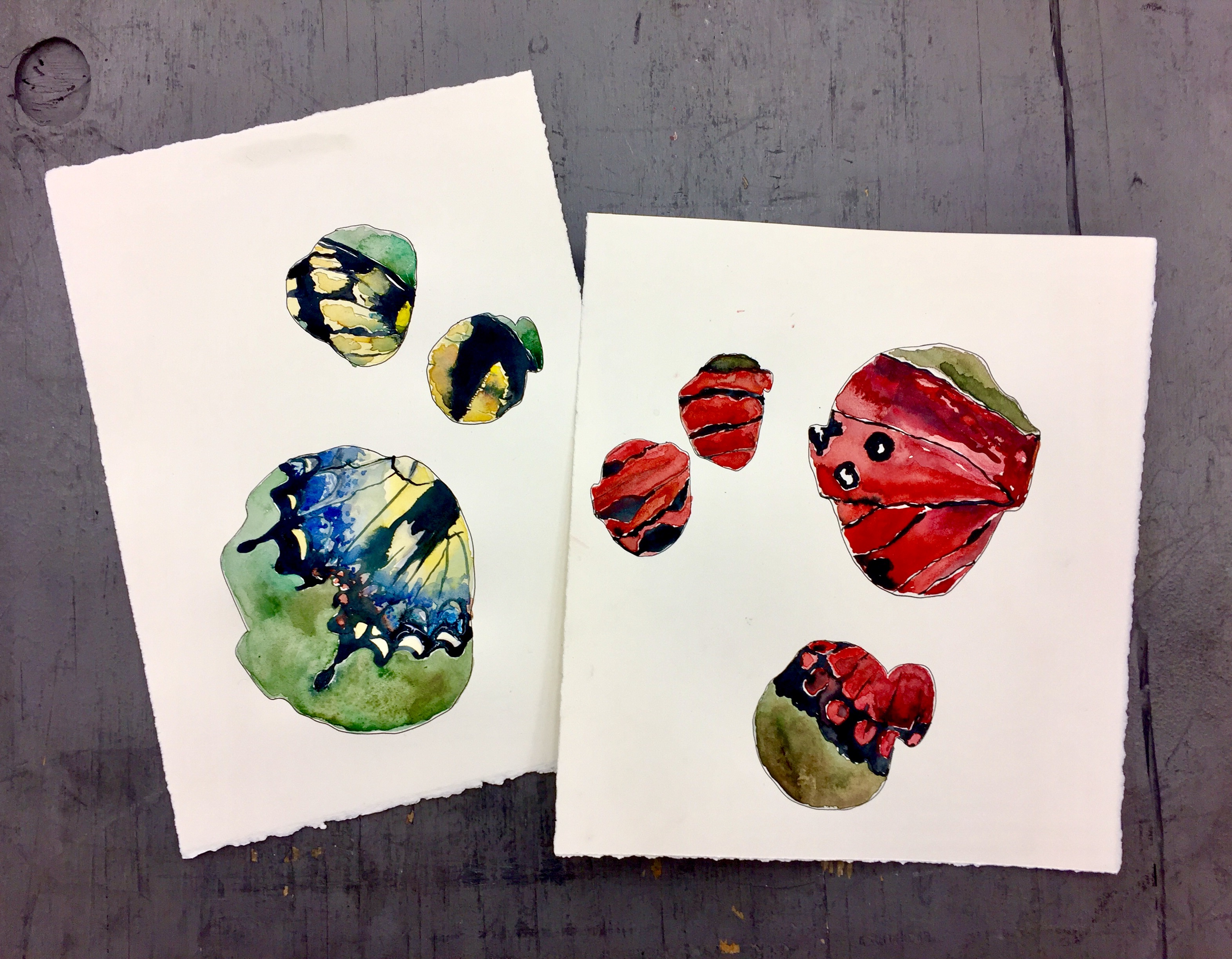 Butterfly Faces B