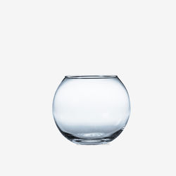 Glass Fish Bowl