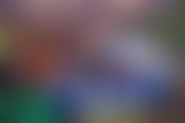 Celebrating the Annual Sports Day at St. Philomena's PU College