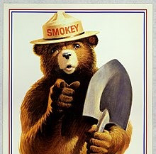 Wildfire Preparation And Resources