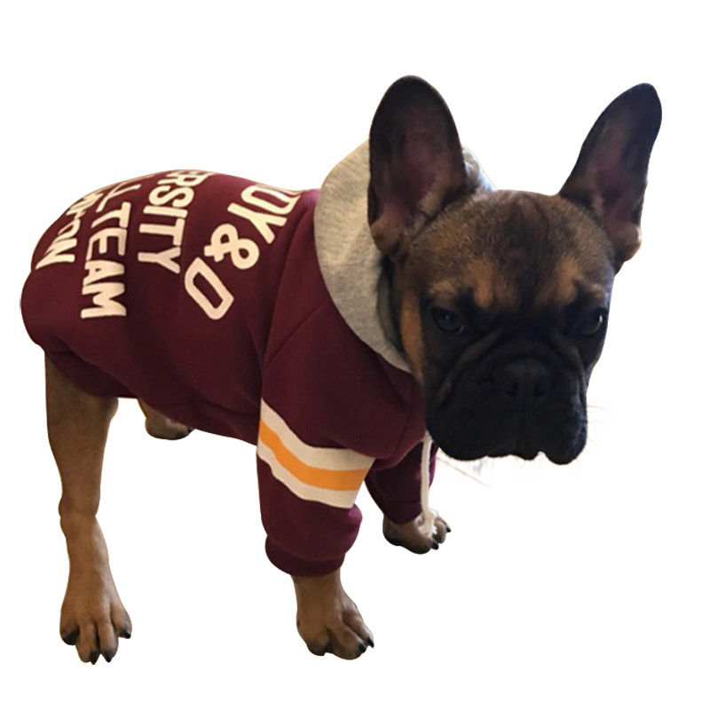 Thumbnail: Pet sweater