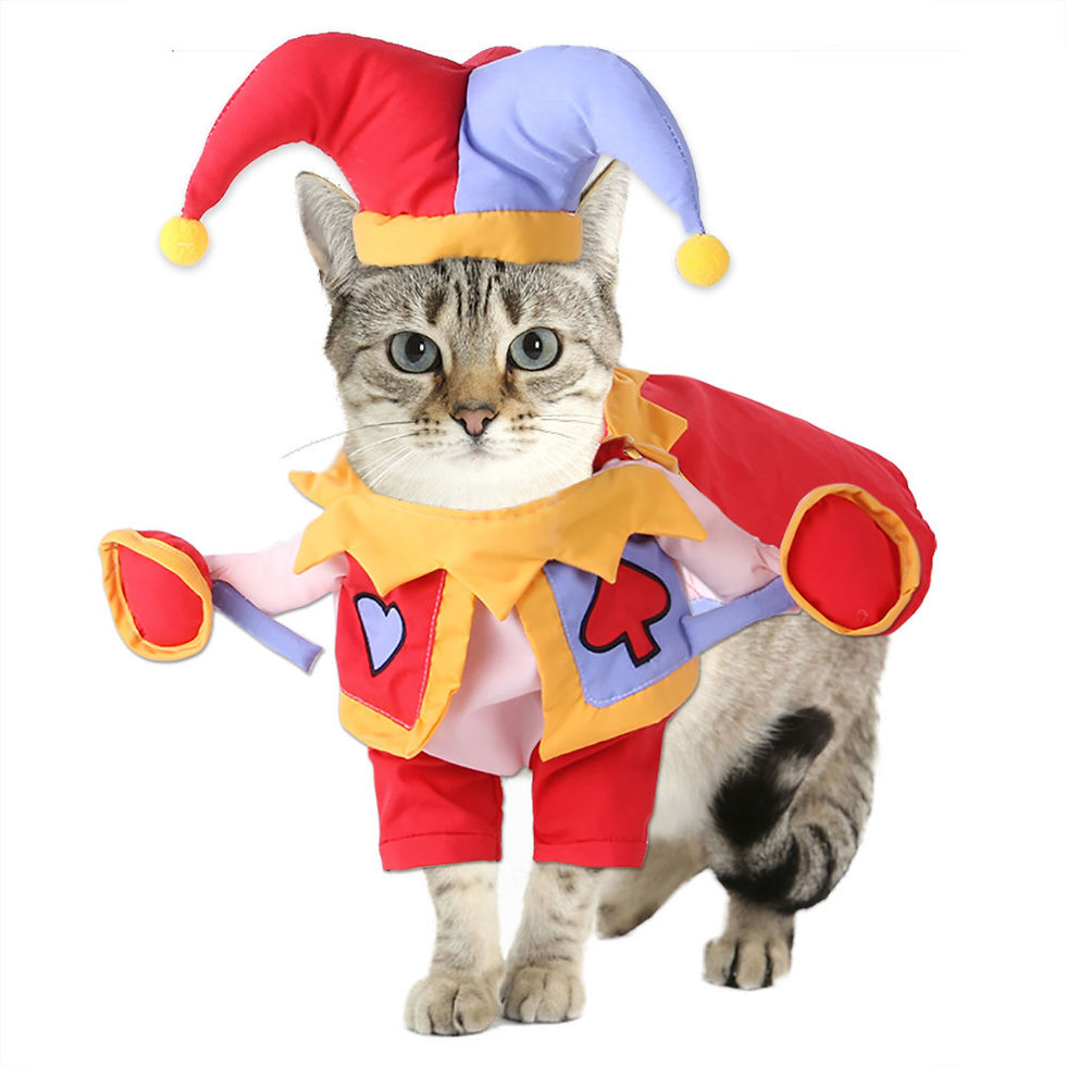 Thumbnail: Cartoon Pet Cowboy Horseback Riding Costume Pet Supplies