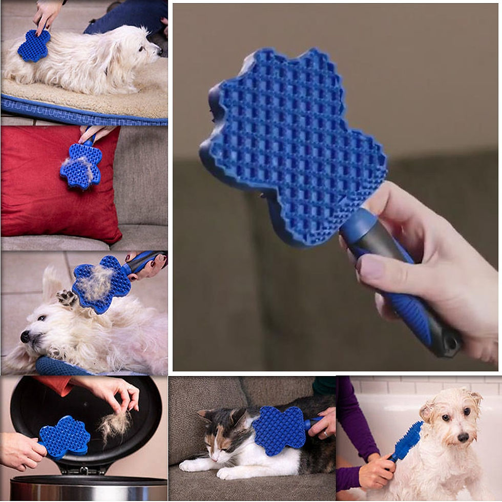 Thumbnail: Pet Hair Remover Brush Gentle Pet Grooming Brush