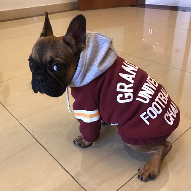 Thumbnail: Pet sweater