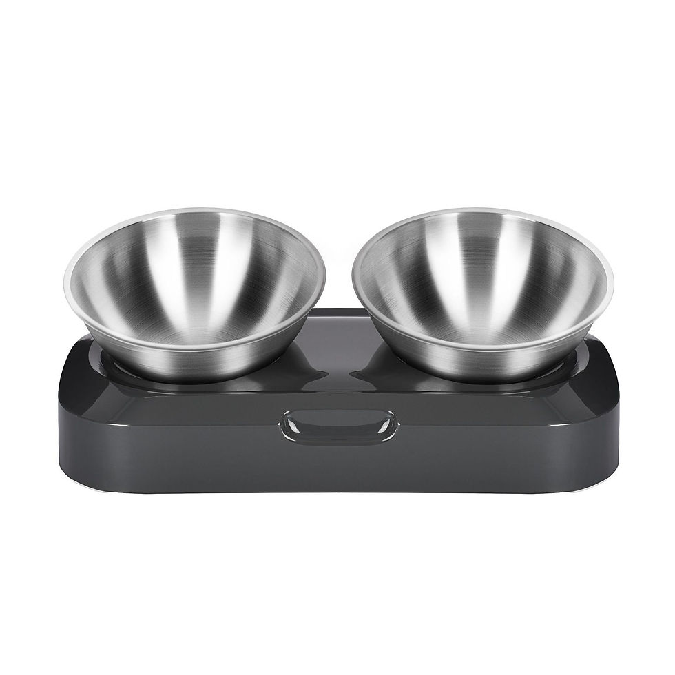 Thumbnail: Pet Stainless Steel Bowl Pet Double Night