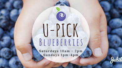 2017 Jubilee Blues U-Picks!