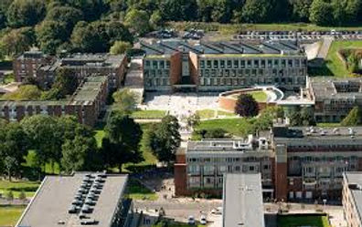 英國升學心得- University of Sussex Film Studies 電影研究 | 咁冷門嘅科目其實讀咩?出路?Sussex點樣?