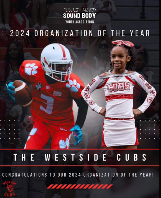 SMSB Organization of the Year.png