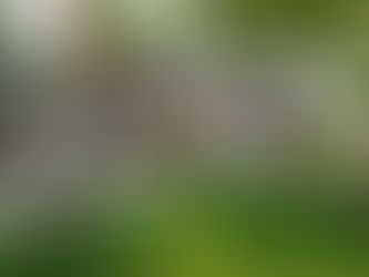 How to Modernize a Historic Home Without Losing Its Soul