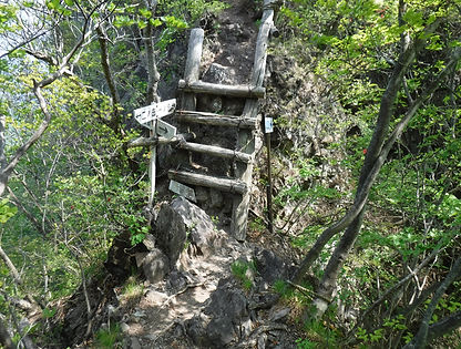 20190513_四ッ又鹿岳10.jpg