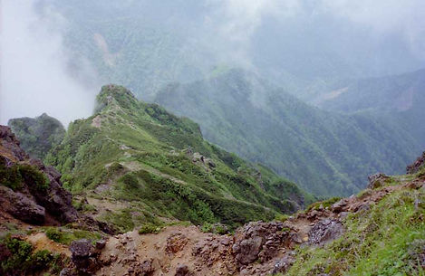 PICT0183w.jpg