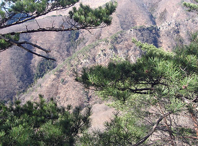 20170222_荒倉仙人ヶ岳04.jpg