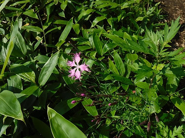 DSCF2899_edited.jpg