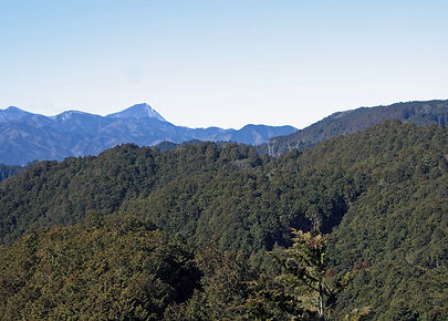 20170125_日和田山11.jpg