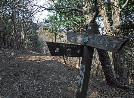 20190325_城峯山05.jpg
