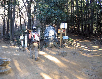 20170125_日和田山03.jpg