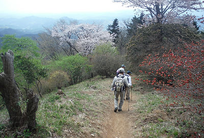 20150422_関八州見晴らし台08.jpg
