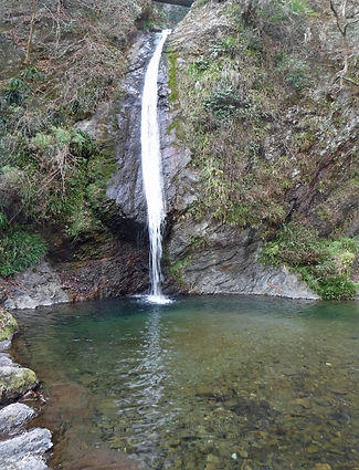 20190325_城峯山10.jpg