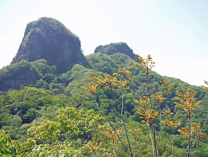 20190513_四ッ又鹿岳08.jpg