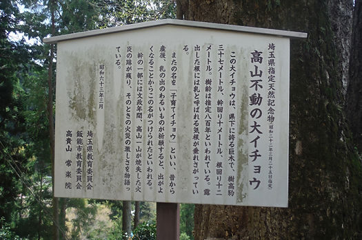 20150422_関八州見晴らし台13.jpg