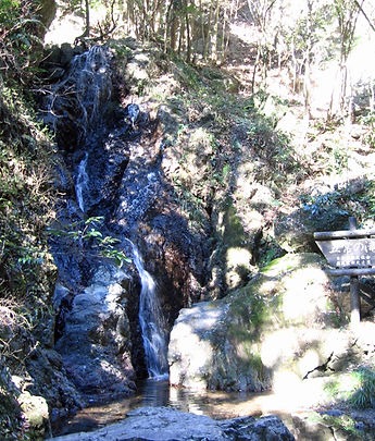 20170125_日和田山13.jpg