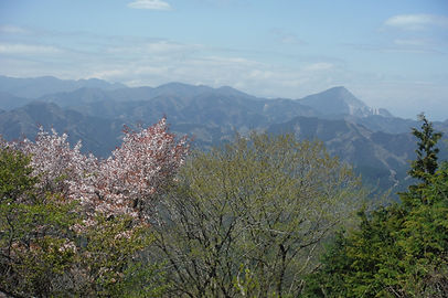 20150422_関八州見晴らし台07.jpg