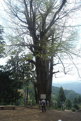 20150422_関八州見晴らし台12.jpg