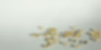 nicolas-solerieu-vHbw2pf8nbw-unsplash_edited.jpg