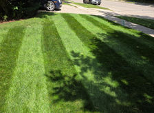 Fall Overseeding is one of the best Lawn Care practices to preventing weeds next year - Elmira, ON