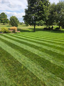 Premium Fertility Plan Lawn Care Program - Heidelberg, ON