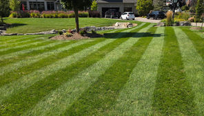 Fall Overseeding is one of the best Lawn Care practices to preventing weeds next year - Ariss, ON