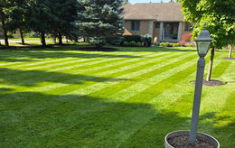 Fall Overseeding is one of the best Lawn Care practices to preventing weeds next year - Ariss, ON