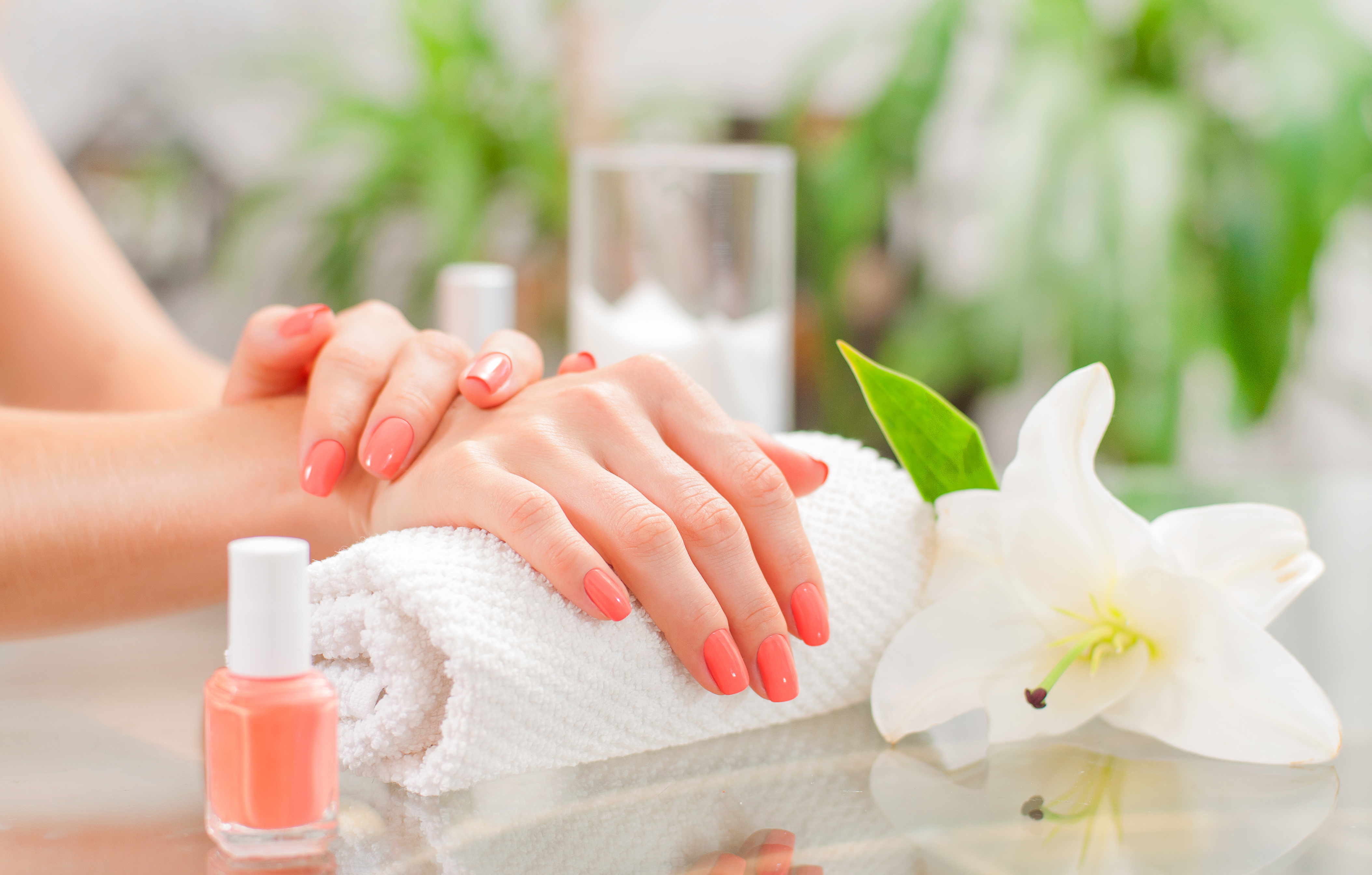 zen nail spa prices zen nail spa prices
