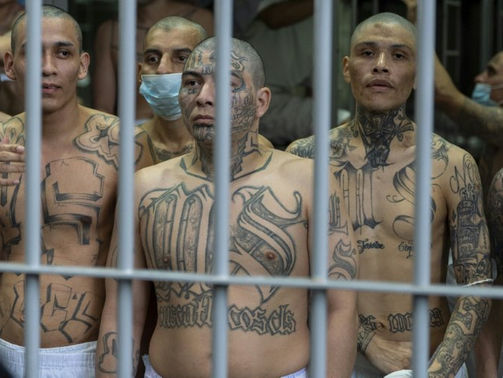 Expertos destacan fundamentos y resultados del Régimen de Excepción: “Herramienta necesaria para garantizar la seguridad”