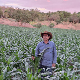 Agro salvadoreño con mejores cosechas