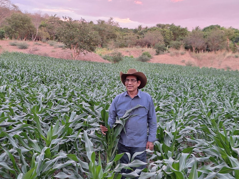 Agro salvadoreño con mejores cosechas