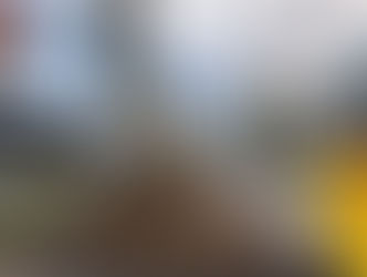 Obras en Zona Rosa con restricciones viales: Inician trabajos para prevenir inundaciones