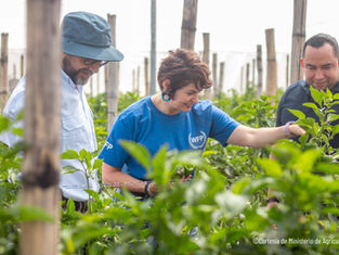 La FAO se suma como aliado estratégico al Programa Aumento a la Producción.