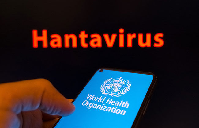 Europa en alerta por hantavirus: Francia, Reino Unido y España coordinan una estrategia de "precaución"