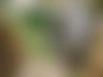 Gobierno entrega obra de mitigación en cárcava de La Campanera: 150 viviendas dejan de estar en riesgo