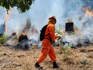 Bomberos reporta un incremento del 98% de incendios en maleza 