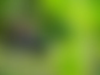Pulmón verde con futuro en el Bicentenario