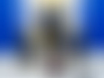 Ejecutivo propone cadena perpetua para homicidas, violadores y terroristas