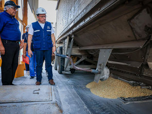 Defensoría del Consumidor ejecuta operativos para evitar especulación en precio del maíz blanco