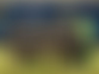 FESFUT rechaza prórroga presentada por el Hércules