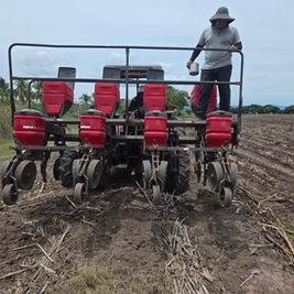 Apuesta por el agro