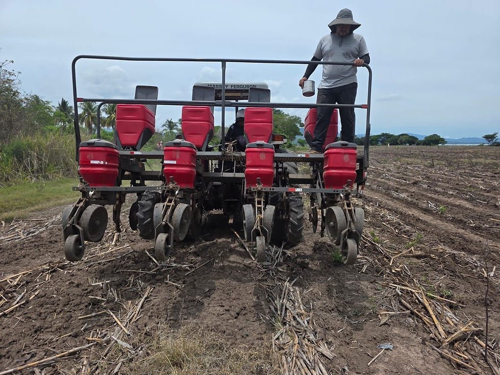 Apuesta por el agro